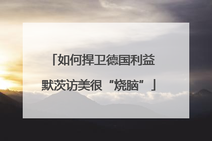 如何捍卫德国利益 默茨访美很“烧脑”