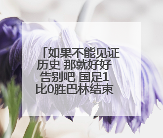 如果不能见证历史 那就好好告别吧 国足1比0胜巴林结束世预赛征程