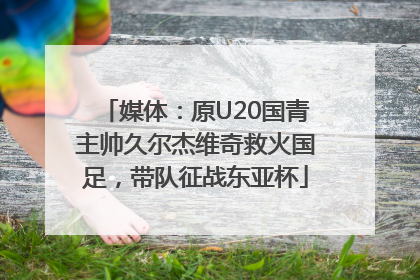媒体：原U20国青主帅久尔杰维奇救火国足，带队征战东亚杯