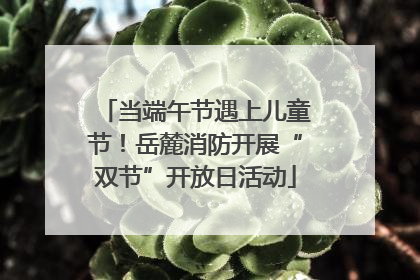 当端午节遇上儿童节！岳麓消防开展“双节”开放日活动