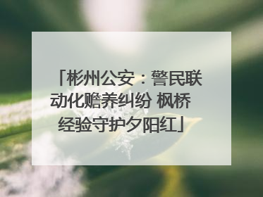 彬州公安：警民联动化赡养纠纷 枫桥经验守护夕阳红