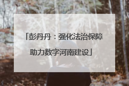 彭丹丹：强化法治保障 助力数字河南建设