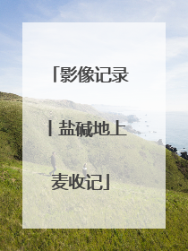 影像记录丨盐碱地上麦收记