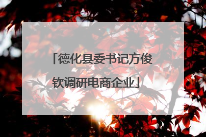 德化县委书记方俊钦调研电商企业