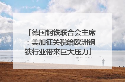 德国钢铁联合会主席：美加征关税给欧洲钢铁行业带来巨大压力