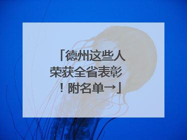 德州这些人荣获全省表彰！附名单→