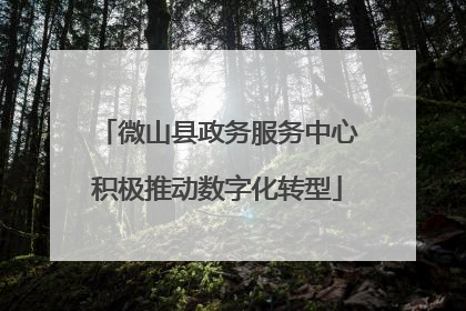 微山县政务服务中心积极推动数字化转型
