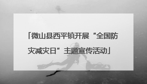 微山县西平镇开展“全国防灾减灾日”主题宣传活动