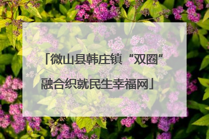 微山县韩庄镇“双圈”融合织就民生幸福网
