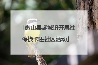 微山县驩城镇开展社保换卡进社区活动