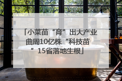 小菜苗“育”出大产业 曲周10亿株“科技苗”15省落地生根