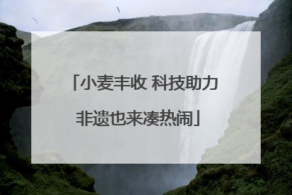 小麦丰收 科技助力 非遗也来凑热闹