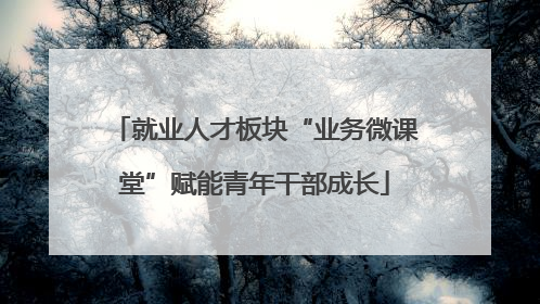 就业人才板块“业务微课堂”赋能青年干部成长