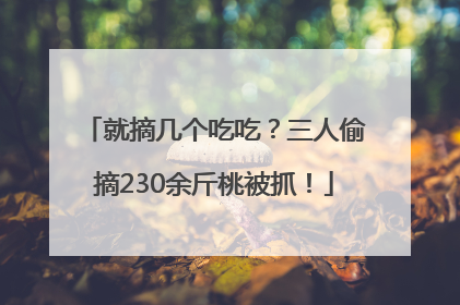 就摘几个吃吃？三人偷摘230余斤桃被抓！
