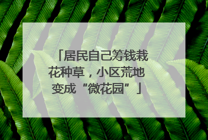居民自己筹钱栽花种草，小区荒地变成“微花园”