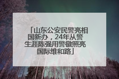 山东公安民警亮相国新办，24年从警生涯陈强用警徽照亮国际维和路