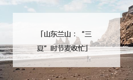 山东兰山：“三夏”时节麦收忙