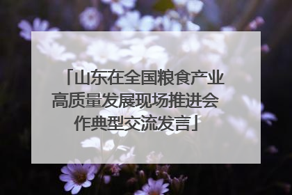 山东在全国粮食产业高质量发展现场推进会作典型交流发言