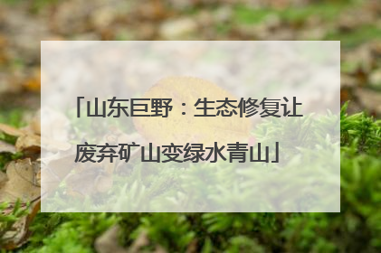 山东巨野：生态修复让废弃矿山变绿水青山