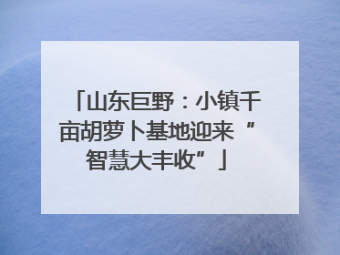 山东巨野：小镇千亩胡萝卜基地迎来“智慧大丰收”