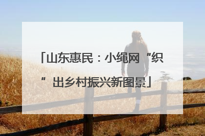 山东惠民：小绳网“织”出乡村振兴新图景