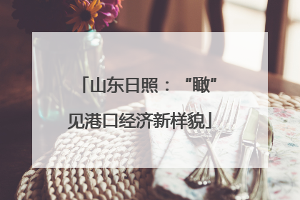 山东日照：“瞰”见港口经济新样貌