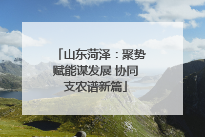 山东菏泽：聚势赋能谋发展 协同支农谱新篇