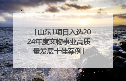 山东1项目入选2024年度文物事业高质量发展十佳案例