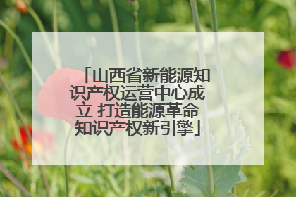 山西省新能源知识产权运营中心成立 打造能源革命知识产权新引擎