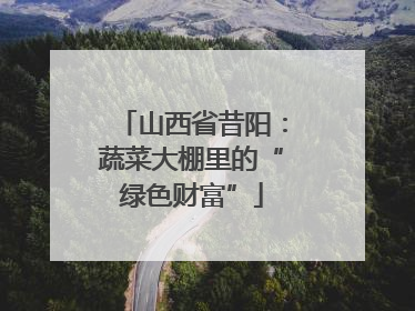 山西省昔阳：蔬菜大棚里的“绿色财富”