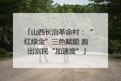 山西长治革命村：“红绿金”三色赋能 跑出富民“加速度”