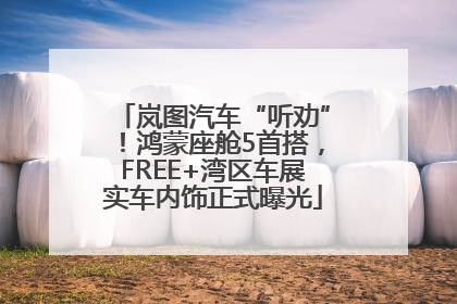 岚图汽车“听劝”！鸿蒙座舱5首搭，FREE+湾区车展实车内饰正式曝光