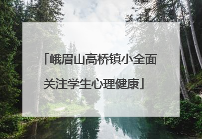 峨眉山高桥镇小全面关注学生心理健康