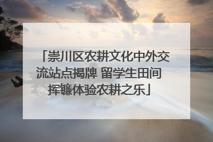 崇川区农耕文化中外交流站点揭牌 留学生田间挥镰体验农耕之乐