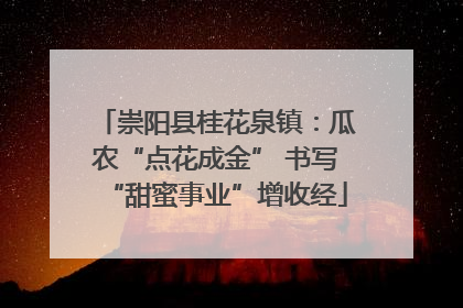 崇阳县桂花泉镇：瓜农“点花成金” 书写“甜蜜事业”增收经