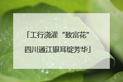 工行浇灌“致富花” 四川通江银耳绽芳华