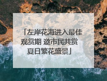 左岸花海进入最佳观赏期 邀市民共赏夏日繁花盛景