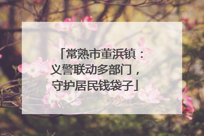 常熟市董浜镇：义警联动多部门，守护居民钱袋子
