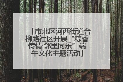 市北区河西街道台柳路社区开展“粽香传情·邻里同乐”端午文化主题活动