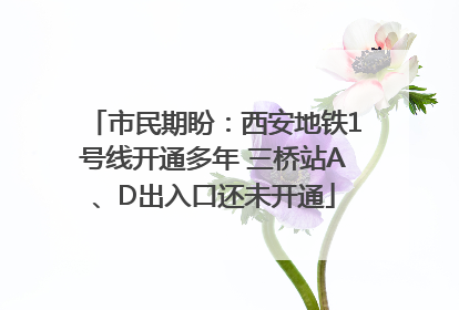 市民期盼：西安地铁1号线开通多年 三桥站A、D出入口还未开通