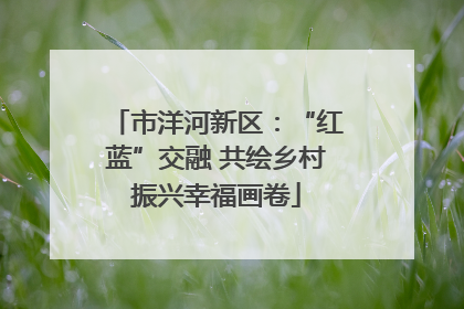 市洋河新区：“红蓝”交融 共绘乡村振兴幸福画卷