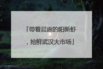 带着晨露的阳新虾，抢鲜武汉大市场