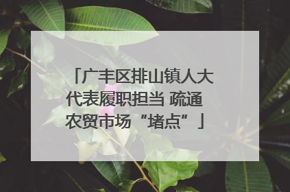 广丰区排山镇人大代表履职担当 疏通农贸市场“堵点”