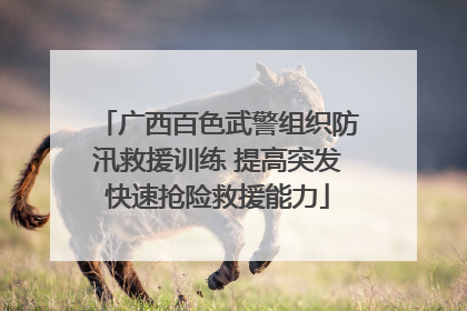 广西百色武警组织防汛救援训练 提高突发快速抢险救援能力