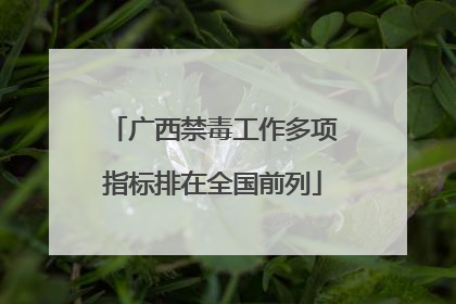 广西禁毒工作多项指标排在全国前列
