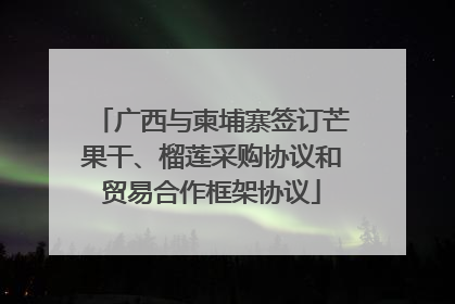 广西与柬埔寨签订芒果干、榴莲采购协议和贸易合作框架协议