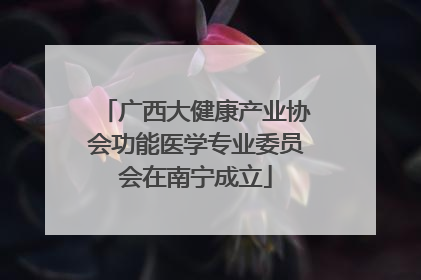 广西大健康产业协会功能医学专业委员会在南宁成立