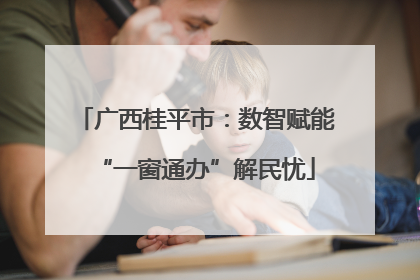 广西桂平市：数智赋能“一窗通办”解民忧