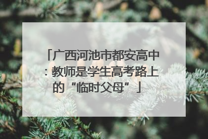 广西河池市都安高中：教师是学生高考路上的“临时父母”