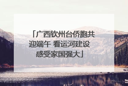 广西钦州台侨胞共迎端午 看运河建设感受家国强大